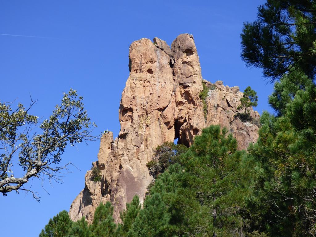 Saint-Jean-de-l'Esterel Chambres D'Hotes Vue Mer L'Esterel Panoramique מראה חיצוני תמונה